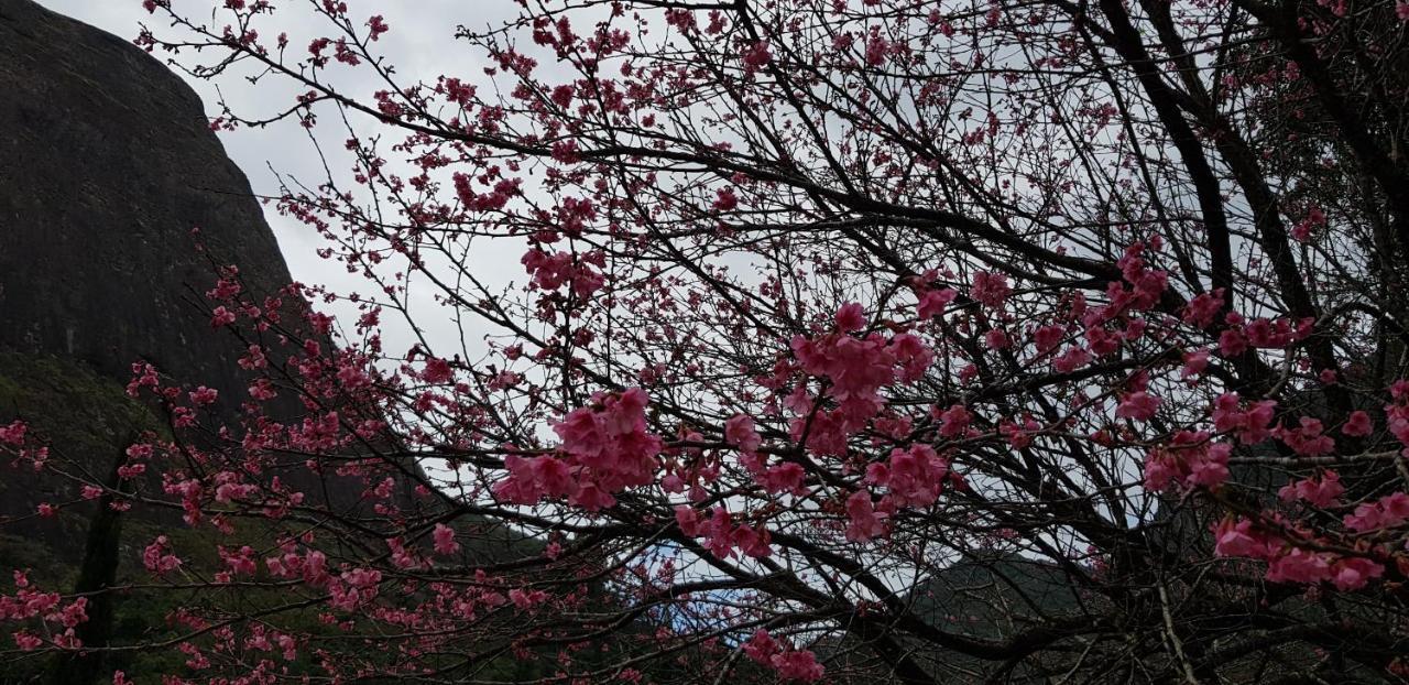 Willa Chale Rosa Do Vale Petrópolis Zewnętrze zdjęcie