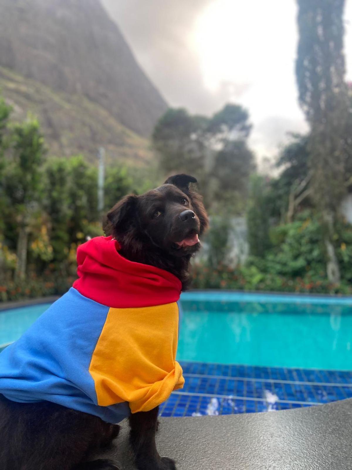Willa Chale Rosa Do Vale Petrópolis Zewnętrze zdjęcie